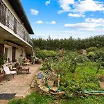 Ferienhaus Chalet Echalas